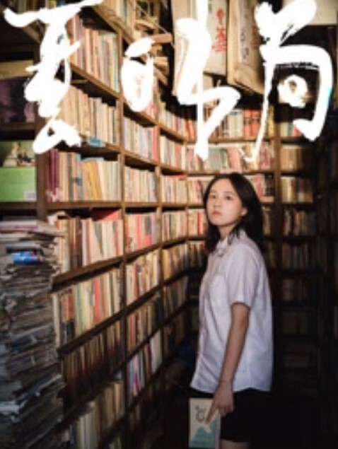 【换妻探花】颜值很高的几对夫妻，超清画质，看起来很爽 - 清新女录海报