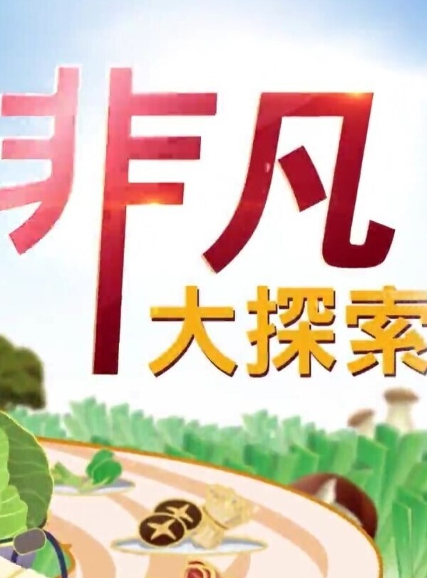 乱伦【真实嫂子偷情」大哥打来电话我在后面狂插 - 清新女录海报